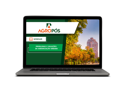 Problemas e soluções da arborização urbana