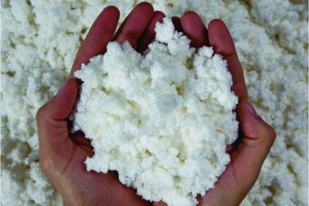 Celulose: Descubra o que é e sua Utilização!