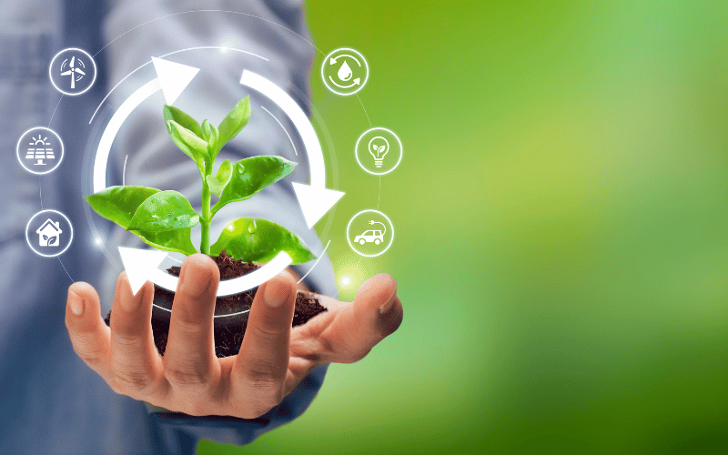 Pós-graduação ambiental: as 7 mais procuradas!