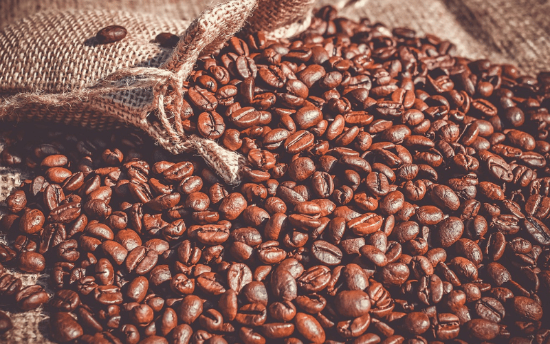 Café: como essa Cultura Ganhou o Mundo?