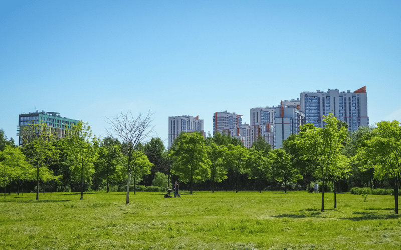 Arborização Urbana