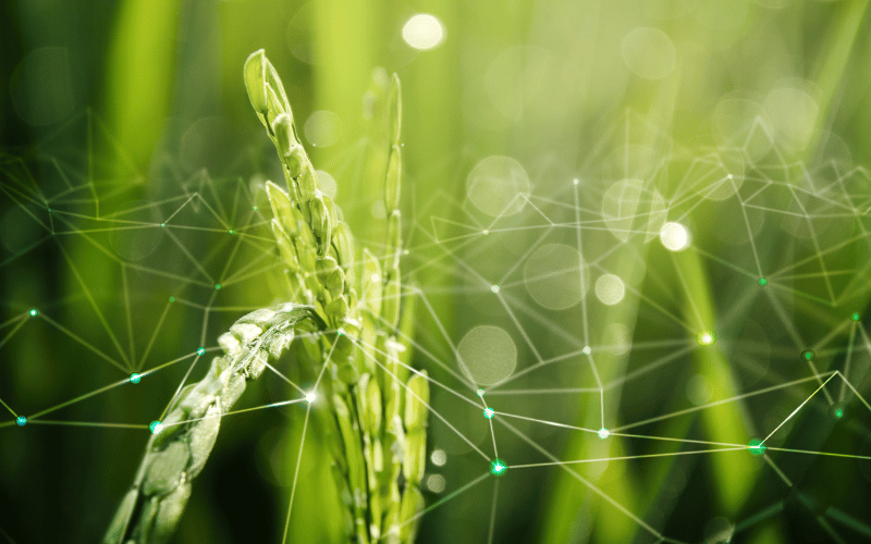 Biotecnologia na agricultura