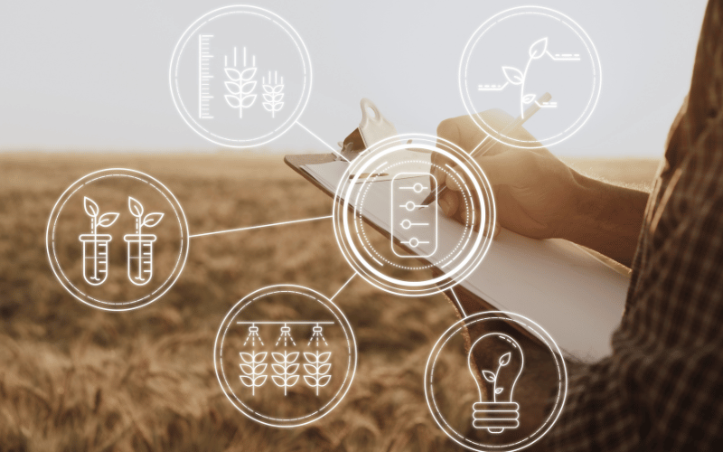 O que é agricultura de precisão? Descubra!
