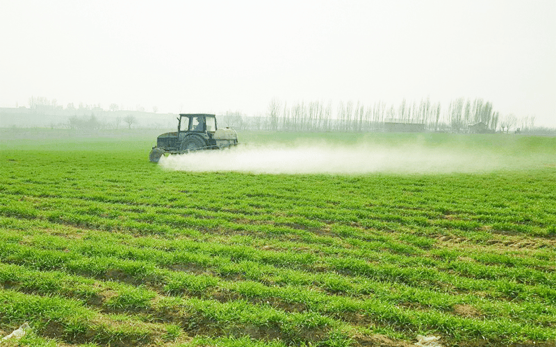 Inseticidas: o uso e as técnicas corretas na agricultura!