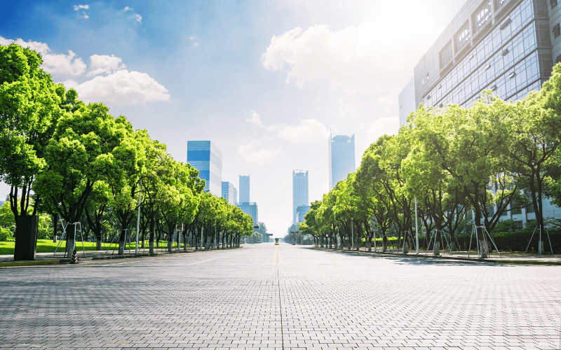 Paisagem Urbana e Educação Ambiental: entenda do assunto!