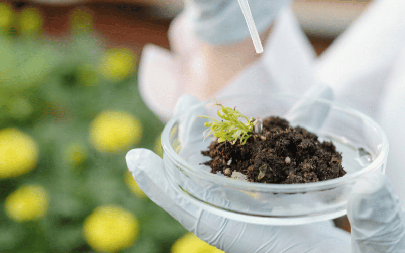 Análise do solo: ferramenta indispensável na agricultura!