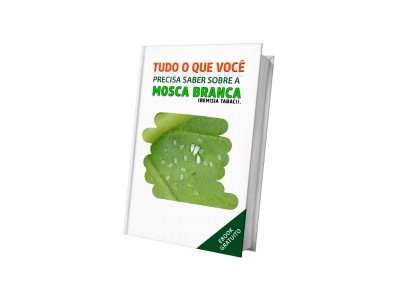Tudo o que você precisa saber sobre a mosca branca (Bemisia Tabaci).