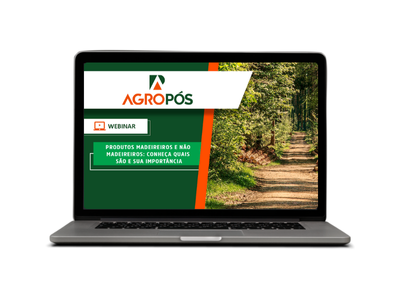 Produtos madeireiros e não madeireiros: conheça quais são e sua importância.