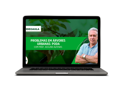 Problemas em Árvores Urbanas: Poda
