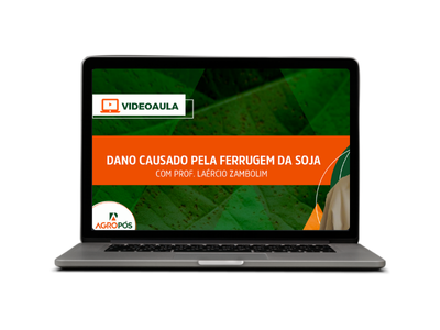 Dano causado pela ferrugem da soja.
