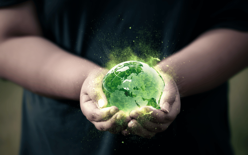 Avaliação de impacto ambiental: conheça!