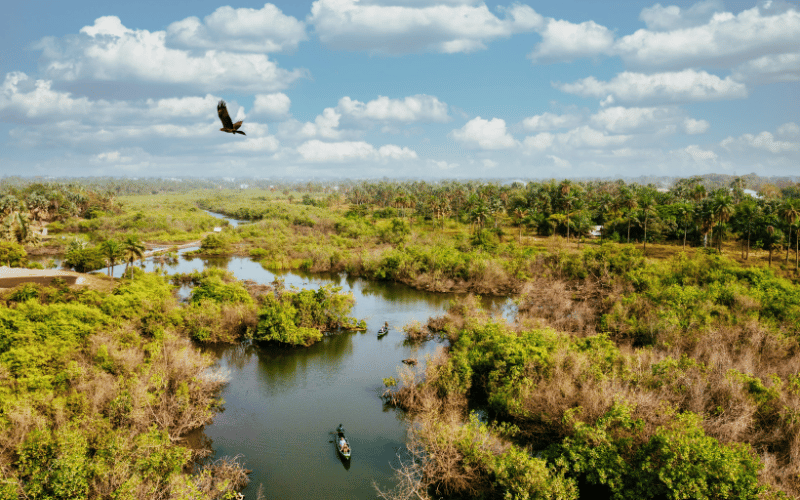 A biodiversidade brasileira e a sua preservação!