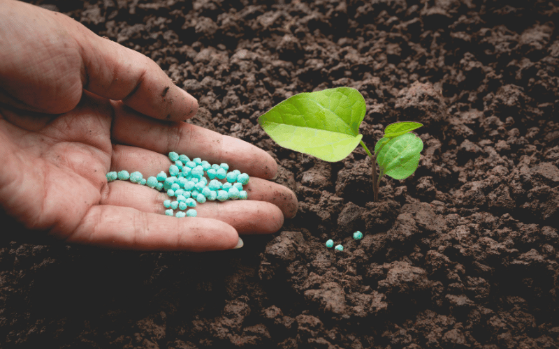 Fertilizantes NPK: veja a importância na lavoura!