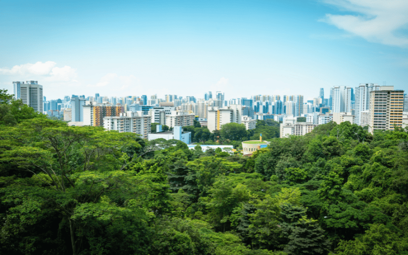 Florestas urbanas