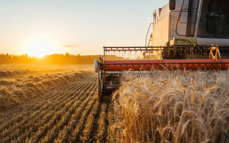 Implementos agrícolas: veja como aumentar a produtividade!