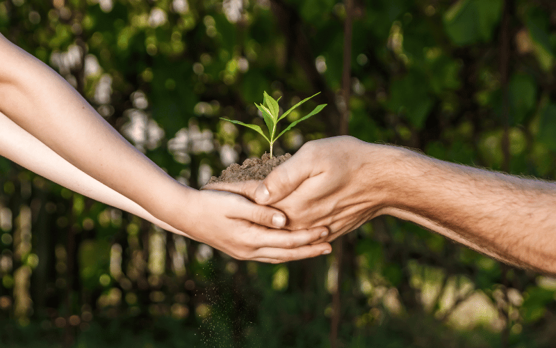 Conheça a política nacional do meio ambiente!