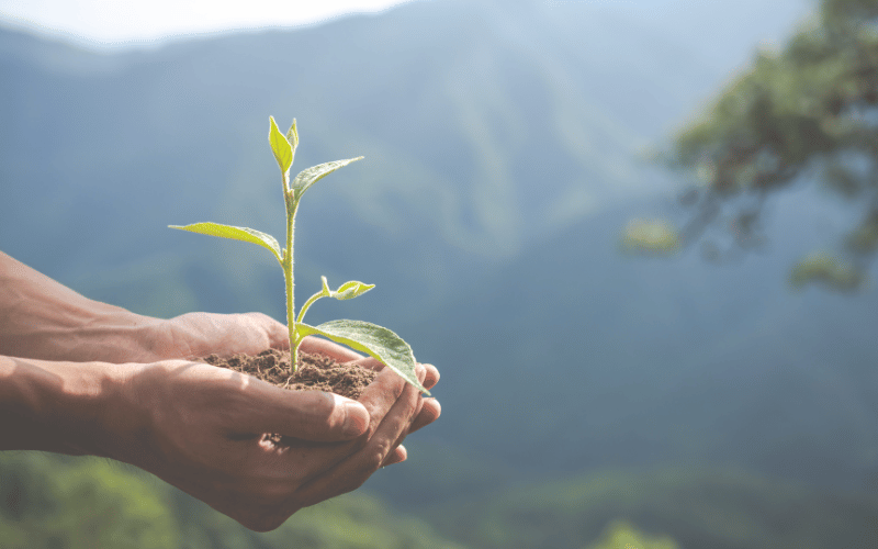 Entenda a importância dos recursos naturais!