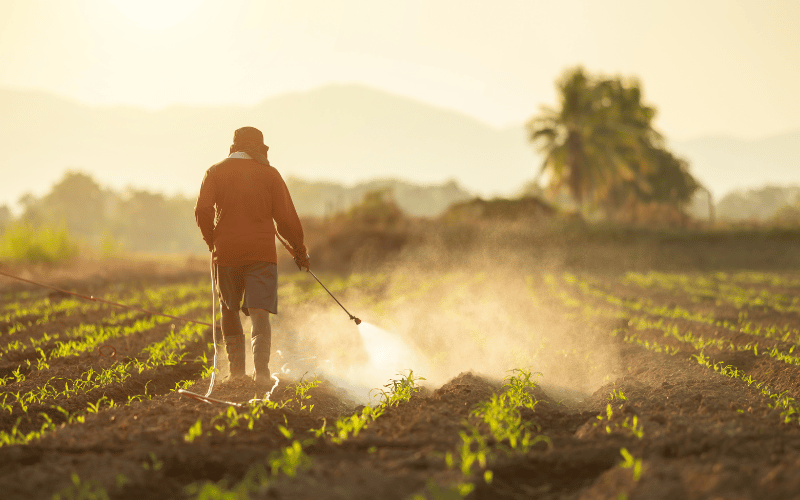 Herbicida glifosato: vantagens e desvantagens!
