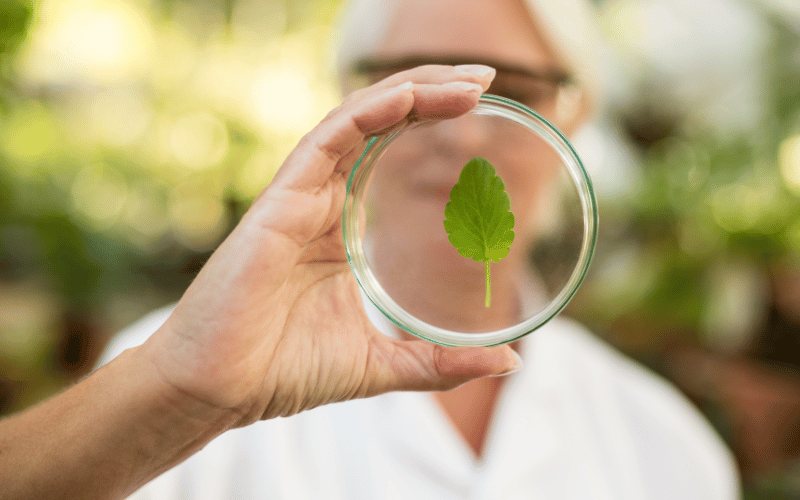 O que é perícia ambiental e qual sua importância?