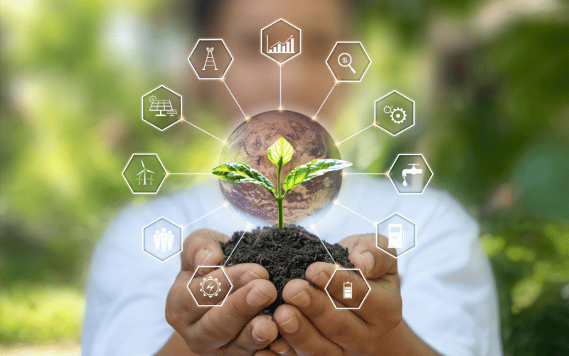 Licenciamento ambiental: o que é, a importância e os tipos!