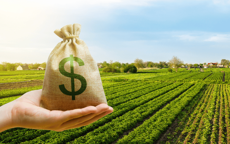 Crédito rural: veja como conseguir o seu!