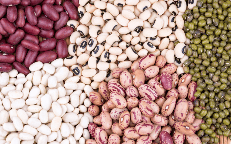 Conheça 13 tipos de feijão cultivados no Brasil!