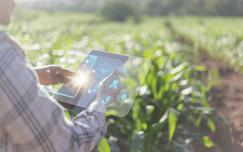 Como funciona os sensores de umidade na agricultura?