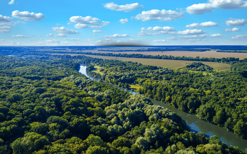 Cota de Reserva Ambiental (CRA): O que é e como funciona?