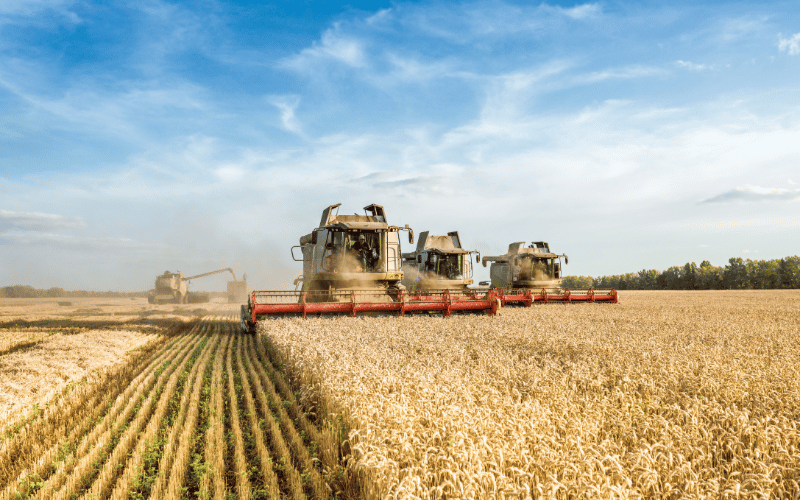 Conheça os tipos de produção agrícola!