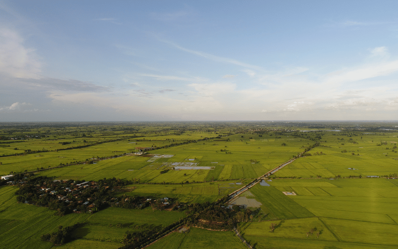 Hectare: saiba mais sobre o assunto!