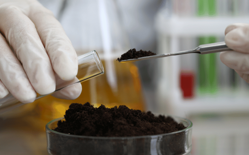 Laboratório de solo: veja 4 principias análises!
