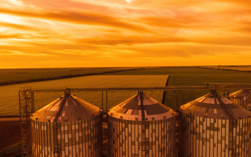 Silo de milho: entenda o que é!