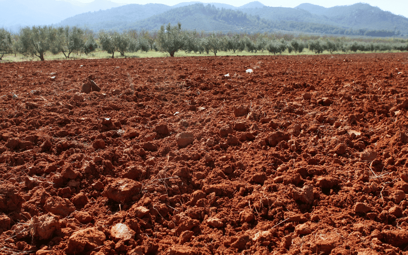 Estrutura do solo: classificação e o manejo do solo!