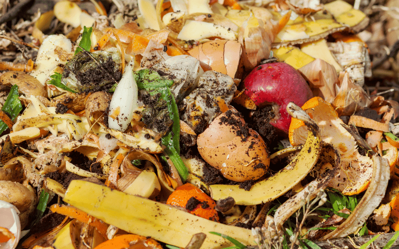 Composto orgânico: alternativa para a agricultura sustentável!