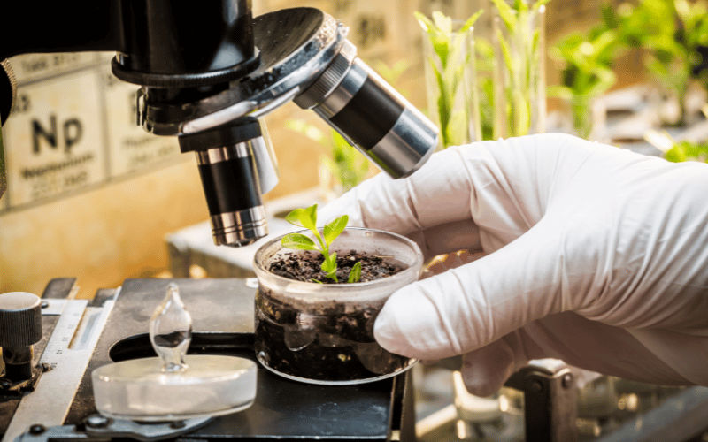 Análise química do solo: aprenda passo a passo!
