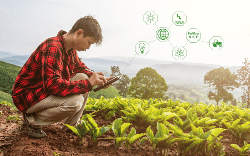 O desenvolvimento da agricultura no Brasil!