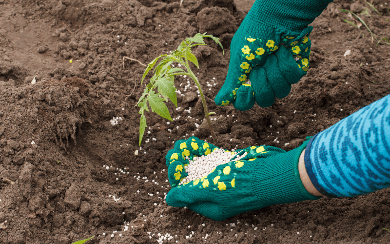 Como fazer o cálculo de adubo por hectare?