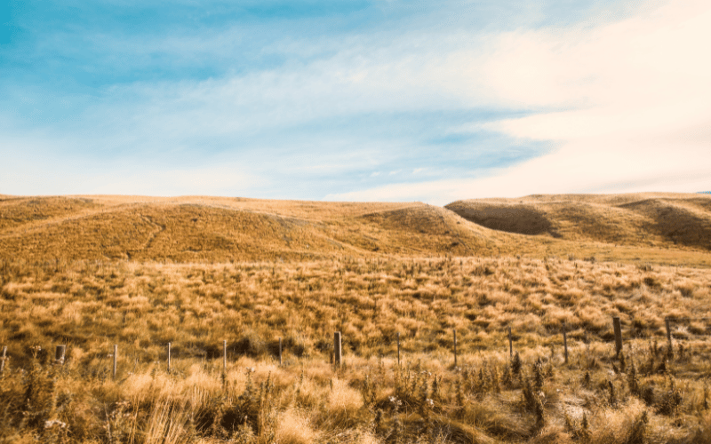 Solo do cerrado: como alcançar a produtividade!