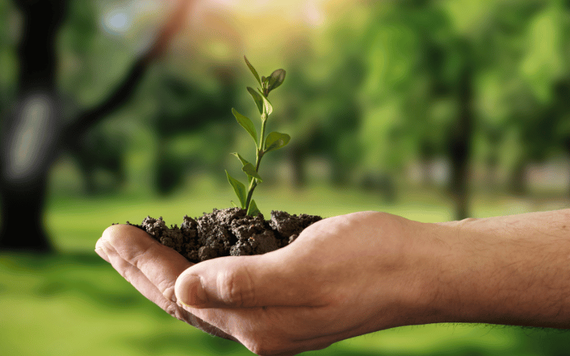 Recursos naturais: renováveis e não renováveis!