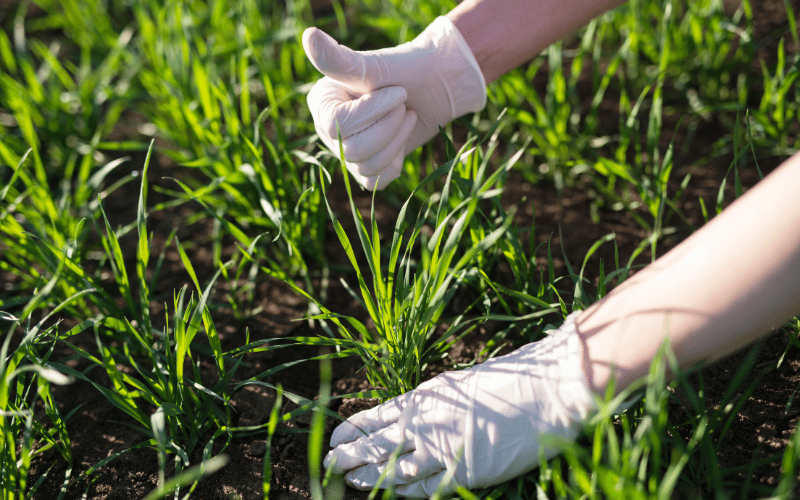 Biorremediação: a solução natural para a contaminação ambiental!