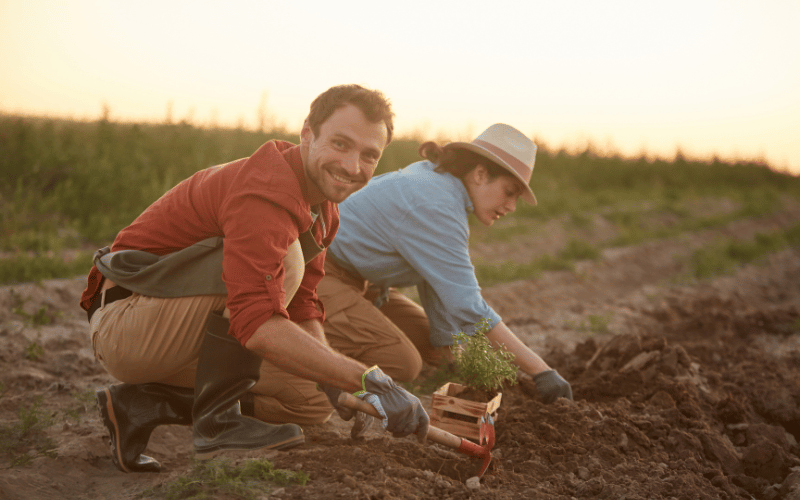PRONAF e o desenvolvimento rural sustentável!