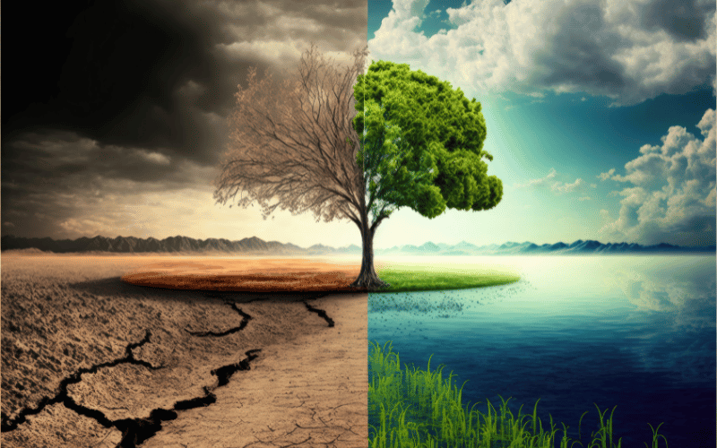 Fatores climáticos na agricultura: saiba mais!