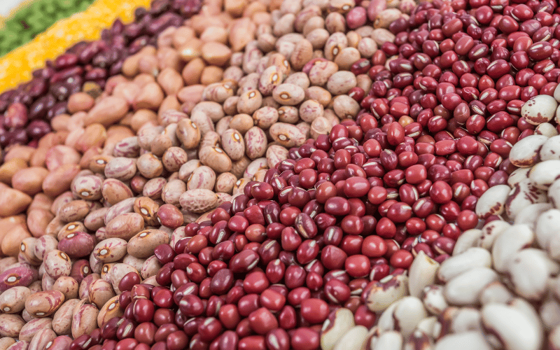 Benefícios do feijão: cultivo sustentável e nutrientes!