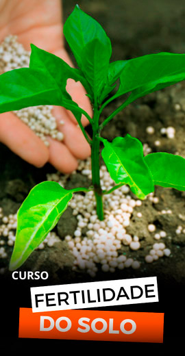 Fertilidade-do-Solo.jpg