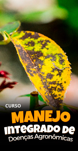 Manejo-Integrado-de-Doencas-Agronomicas.jpg