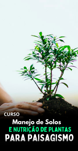 Manejo-de-Solos-e-Nutricao-de-Plantas-para-Paisagismo.jpg