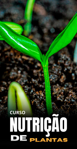 Nutricao-de-Plantas-.jpg
